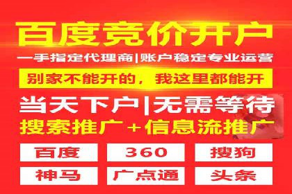某行业SEM竞价策略的运营实践与效果